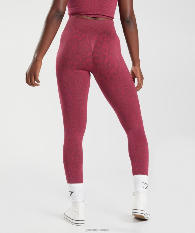 Gymshark adapter les leggings sans couture pour animaux récif | brun cerise femmes 6HF28299